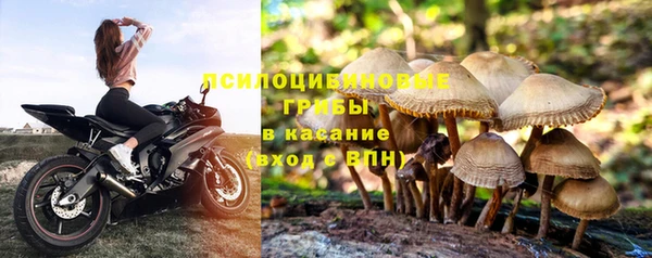 дживик Вязьма